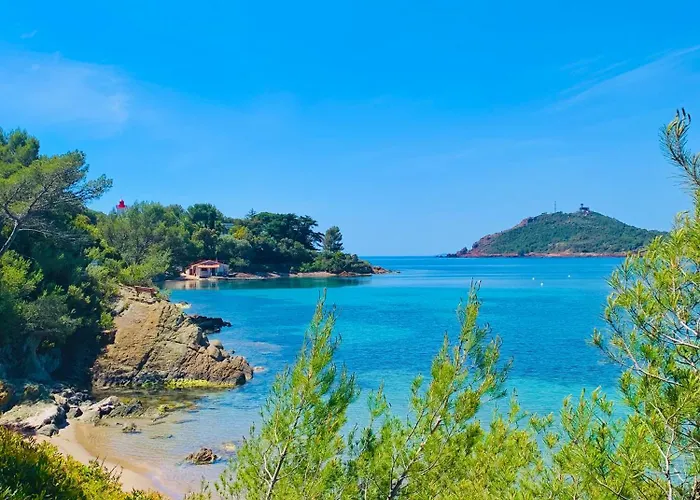 公寓 Renove 2025 - 6 Personnes - Clim Parking Piscine Terrasse